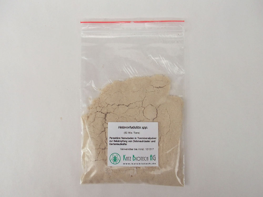 Nematoden (Heterorhabditis spp.) gegen Gartenlaubkäfer - für 100qm Nematoden (Heterorhabditis spp.) gegen Gartenlaubkäfer - für 100qm