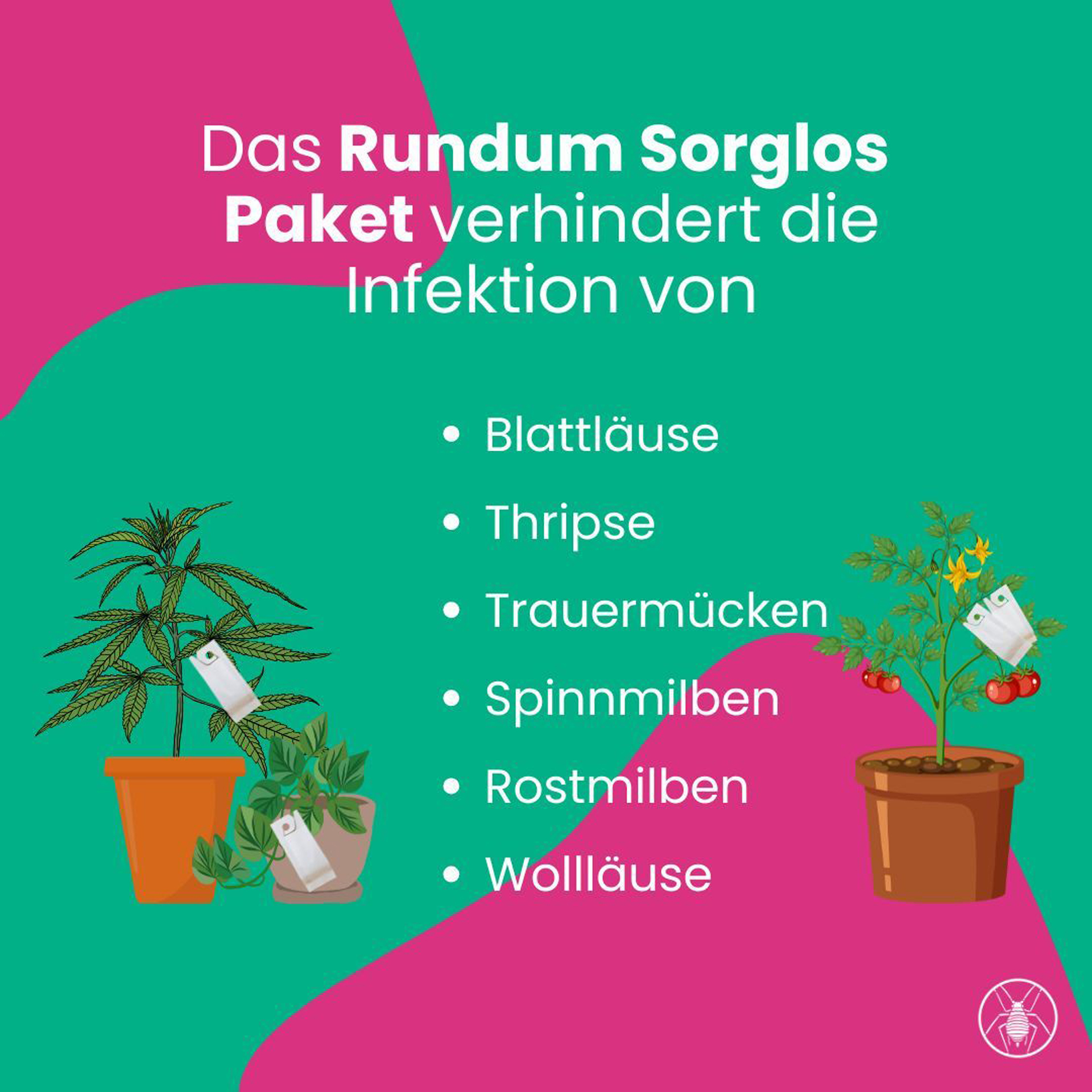 Rundum-Sorglos-Paket Grünpflanzen & Innenraum