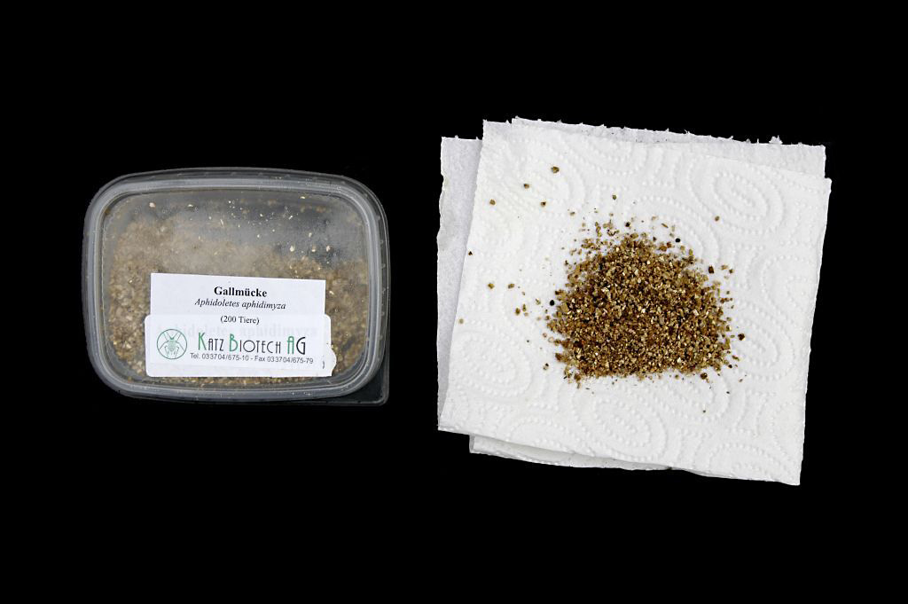 Verpackung/Lieferumfang Gallmücken (Aphidoletes aphidimyza) Verpackung/Lieferumfang Gallmücken (Aphidoletes aphidimyza)