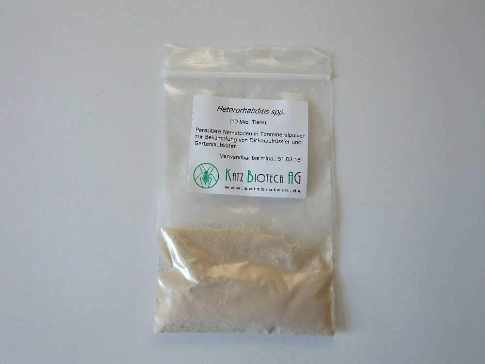 Nematoden (Heterorhabditis spp.) gegen Dickmaulrüßler - für 20qm Nematoden (Heterorhabditis spp.) gegen Dickmaulrüßler - für 20qm