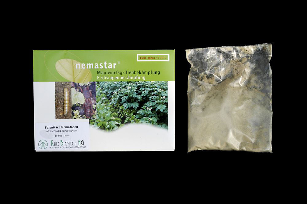 Nematoden gegen Maulwurfsgrillen (Steinernema carpocapsae) - für 100qm Nematoden gegen Maulwurfsgrillen (Steinernema carpocapsae) - für 100qm