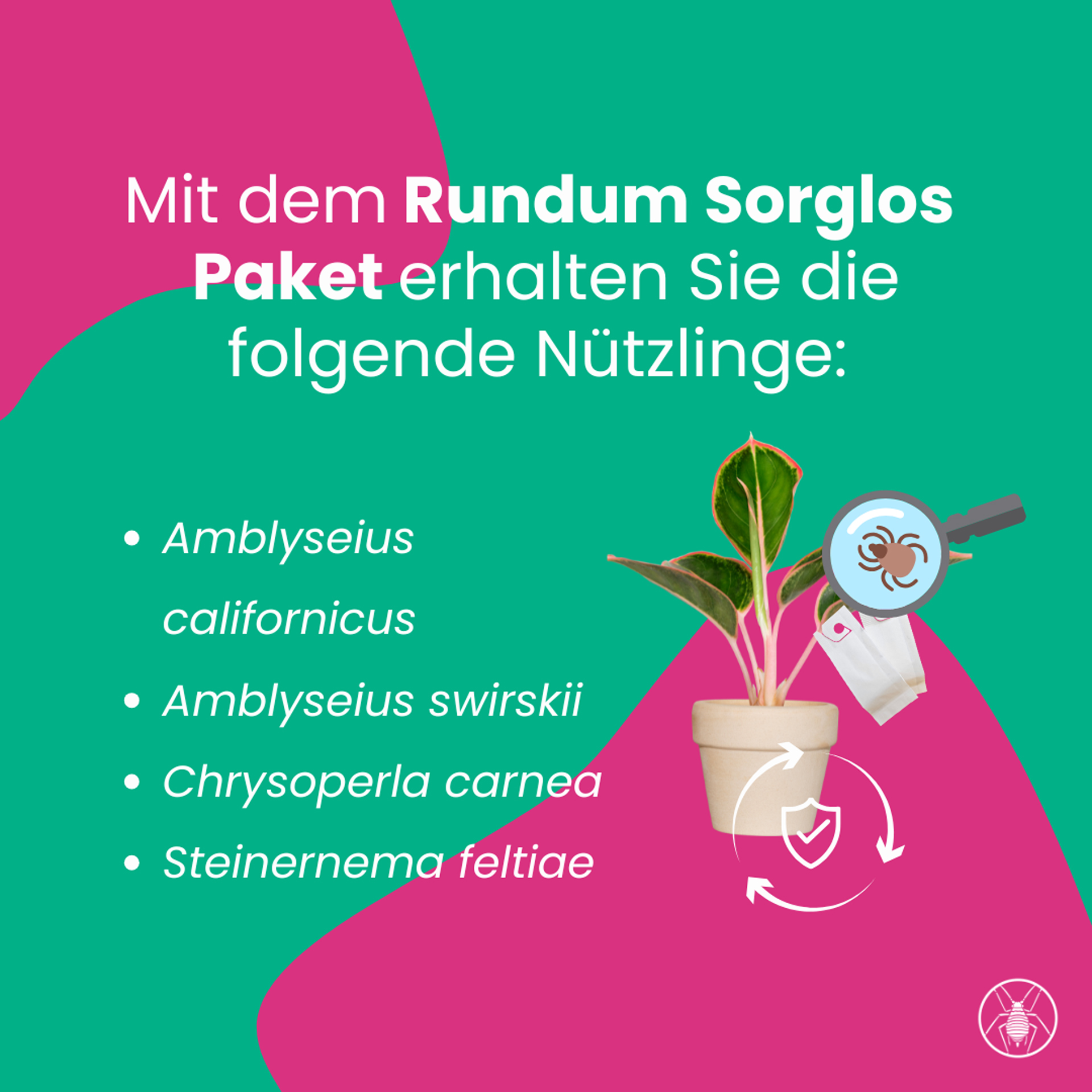 Rundum-Sorglos-Paket Grünpflanzen & Innenraum