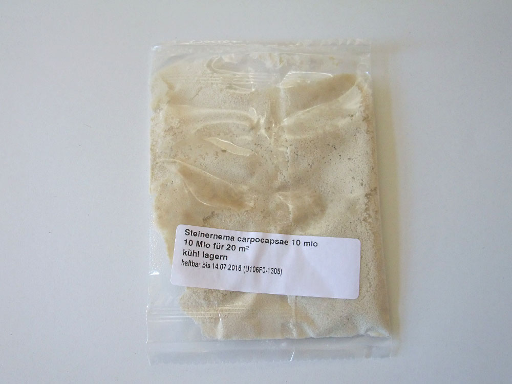 Nematoden (Steinernema carpocapsae) gegen Maulwurfsgrillen für 20qm Nematoden (Steinernema carpocapsae) gegen Maulwurfsgrillen für 20qm